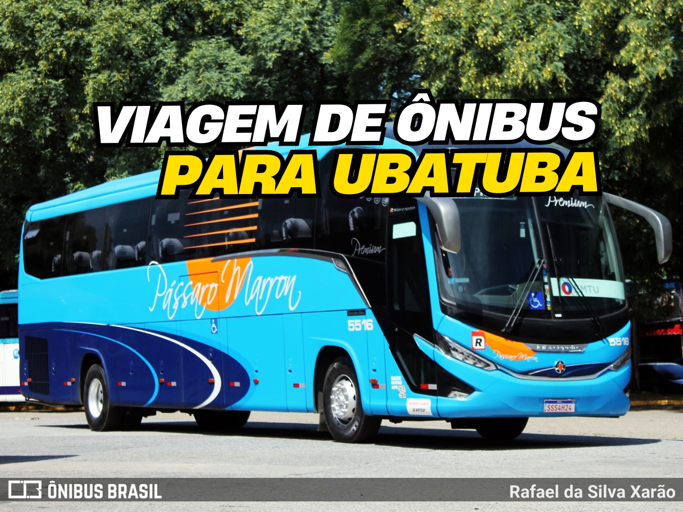 ÔNIBUS SÃO PAULO A UBATUBA PÁSSARO MARRON