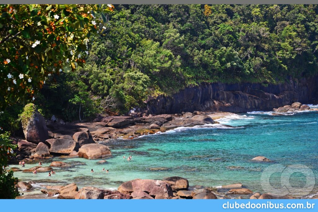 ÔNIBUS PARA UBATUBA 