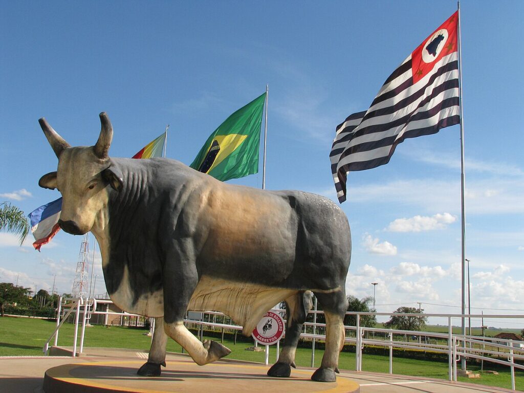 Estátua Boi Bandido 