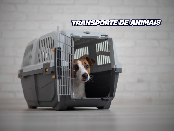 Transporte de Animais