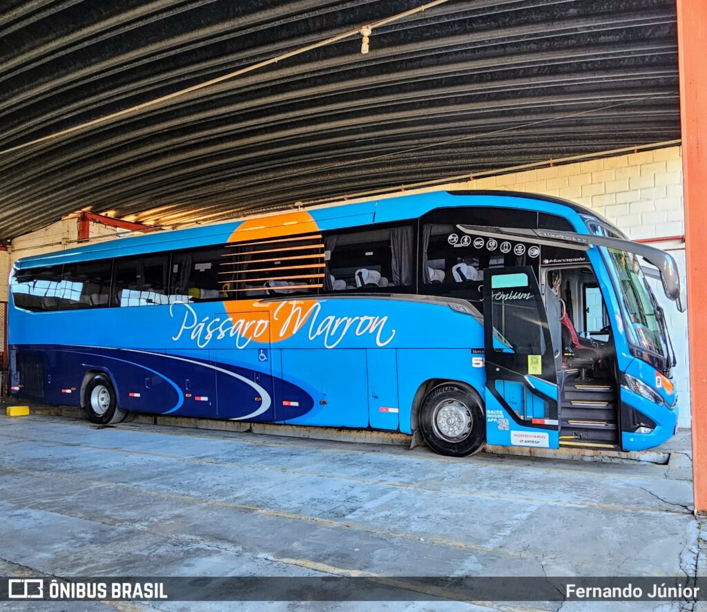 ÔNIBUS SÃO PAULO A UBATUBA DA PÁSSARO MARRON 