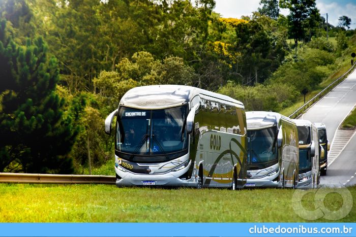 ÔNIBUS EM ITU GOLD TURISMO E FRETAMENTO (5)