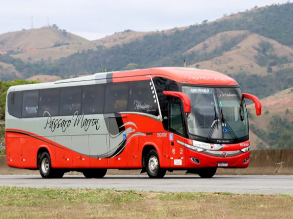 Ônibus Pássaro Marron Marcopolo New G7