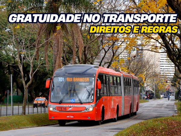 Gratuidade no Transporte Direitos como obter gratuidade ônibus