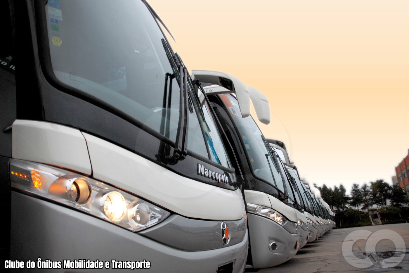 Qual o Coletivo de Ônibus. A História por Trás na Língua Portuguesa
