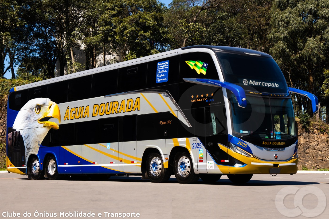 Meios de Transportes Terrestres: Guia Completo com Tipos e Aplicações ...