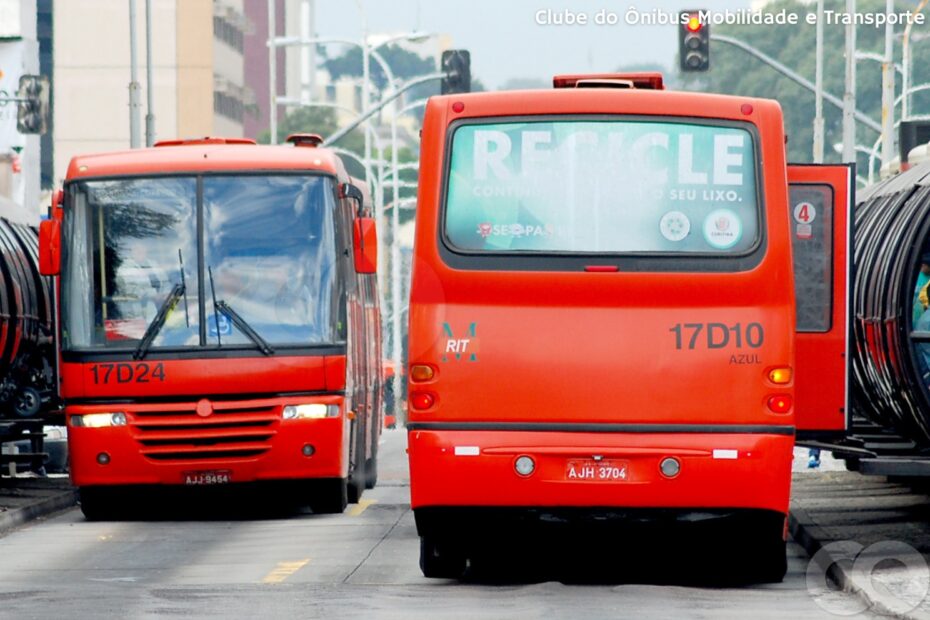 Qual o Coletivo de Ônibus. A História por Trás na Língua Portuguesa