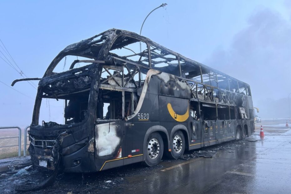 Incêndio destrói ônibus do Expresso Nordeste Foto: Gabi Leal